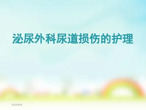 泌尿外科尿道损伤的护理全