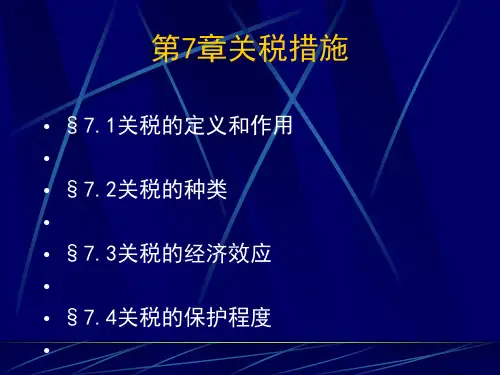 关税措施(PPT 48张)