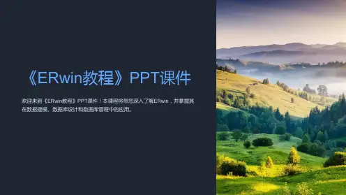 《ERwin教程》课件