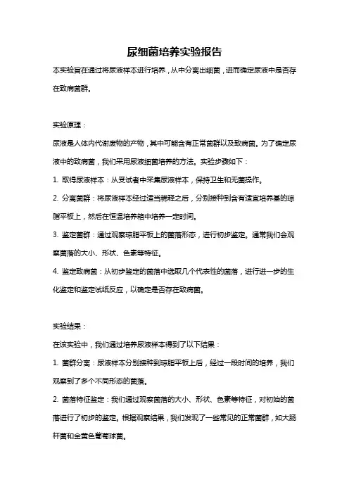 尿细菌培养实验报告