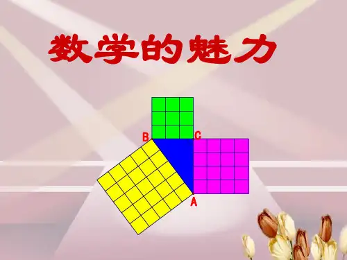 《数学的魅力》完整版教学课件PPT