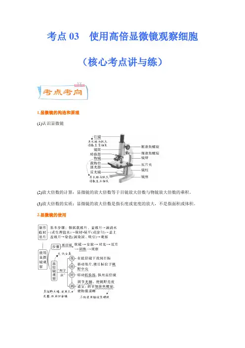 考点03  使用高倍显微镜观察细胞-2023年高考生物一轮复习讲练测(全国通用)(原卷版)