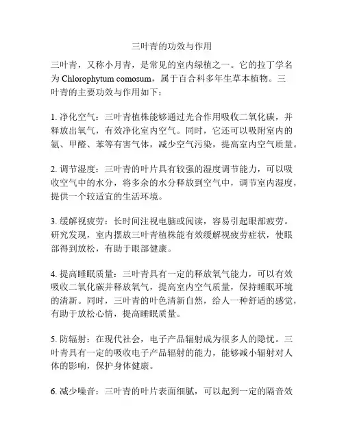 三叶青的功效与作用