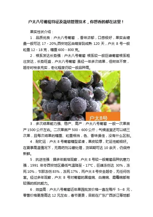 户太八号葡萄特征及栽培管理技术，你想看的都在这里！