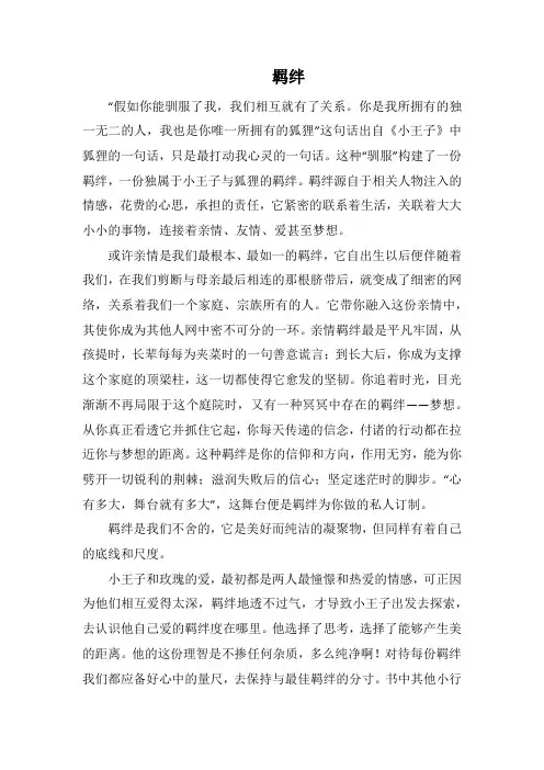 羁绊(1000字).docx