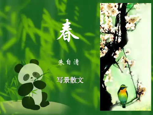 春(看图说话)ppt