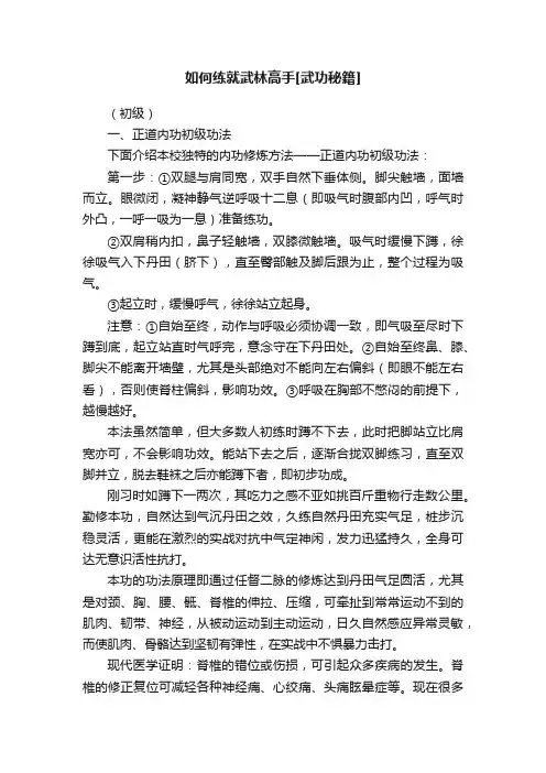 如何练就武林高手[武功秘籍]