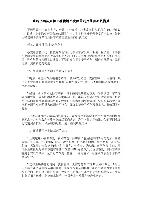 略述平舆县如何正确使用小麦除草剂及药害补救措施