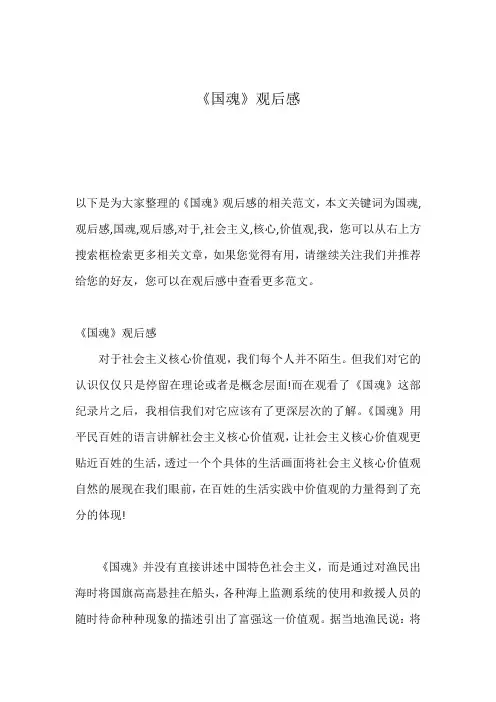 《国魂》观后感
