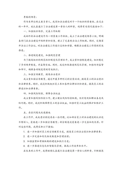 主要负责人履行法治建设第一责任人职责报告