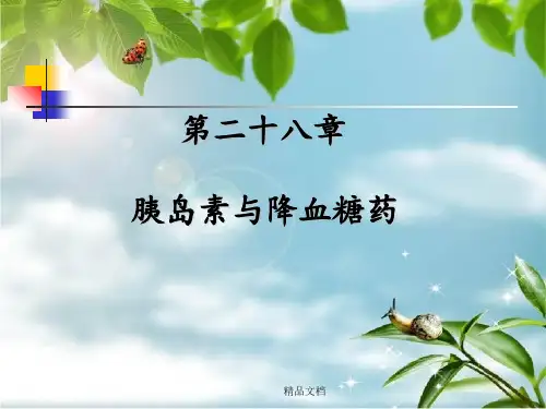 《胰岛素与降糖药》PPT课件