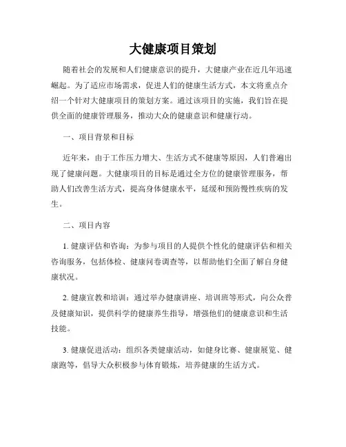 大健康项目策划