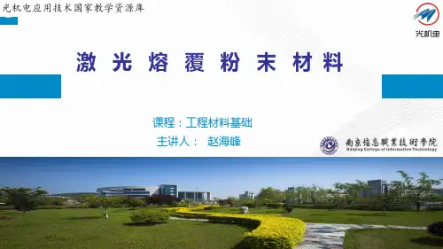 激光熔覆粉末材料(28)(精)