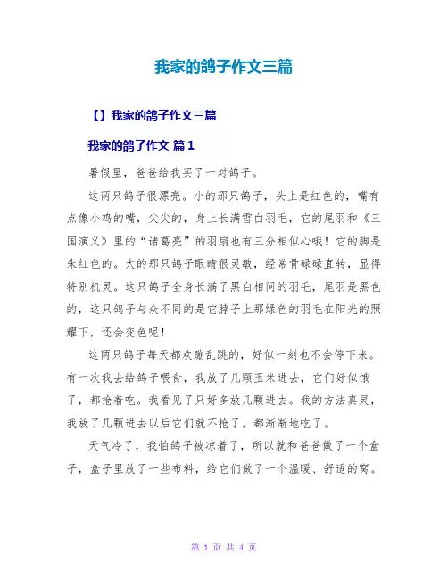 我家的鸽子作文三篇