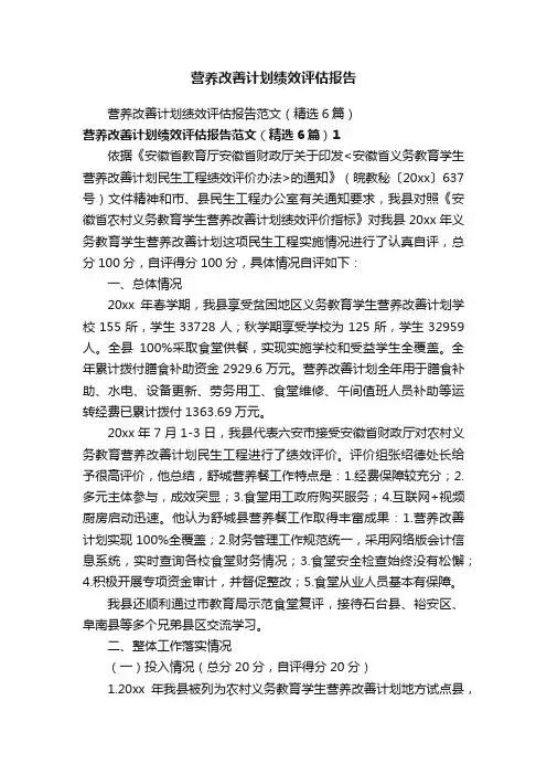 营养改善计划绩效评估报告