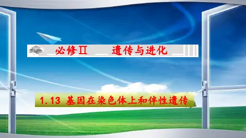 高三生物一轮复习课件基因在染色体上和伴性遗传