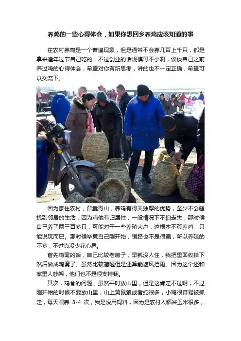 养鸡的一些心得体会，如果你想回乡养鸡应该知道的事