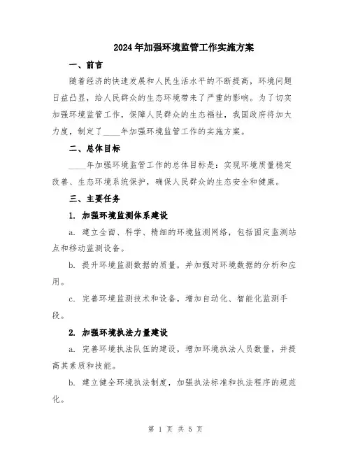 2024年加强环境监管工作实施方案