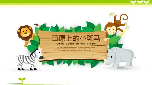 少儿3-5岁草原上的小斑马—美术课件