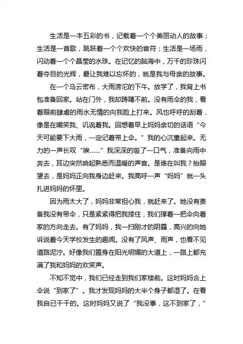 我与母亲的故事八年级作文