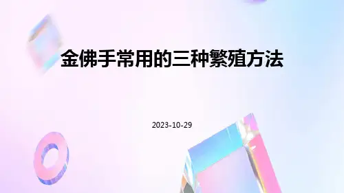 金佛手常用的三种繁殖方法