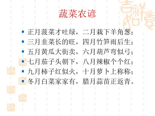 大棚蔬菜栽培技术课件