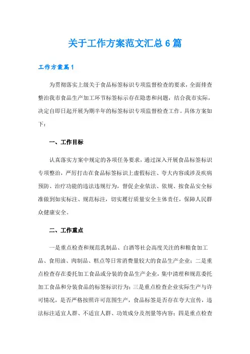 关于工作方案范文汇总6篇