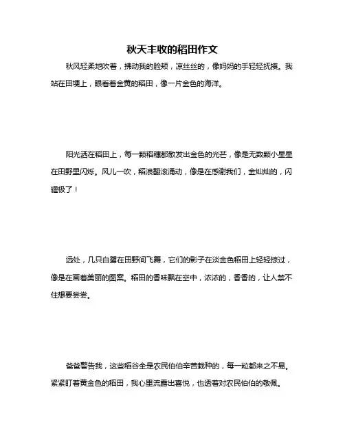 秋天丰收的稻田作文