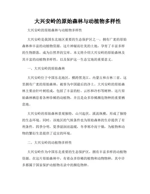 大兴安岭的原始森林与动植物多样性 