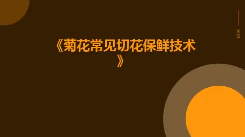 菊花常见切花保鲜技术