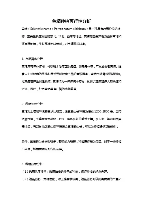 黄精种植可行性分析