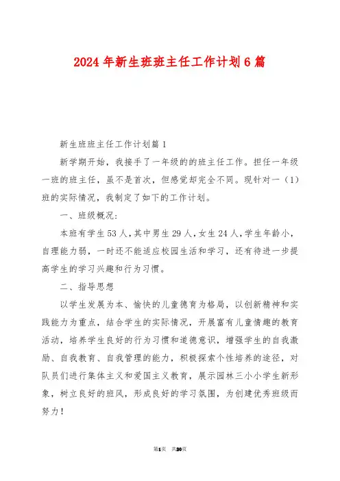 2024年新生班班主任工作计划6篇