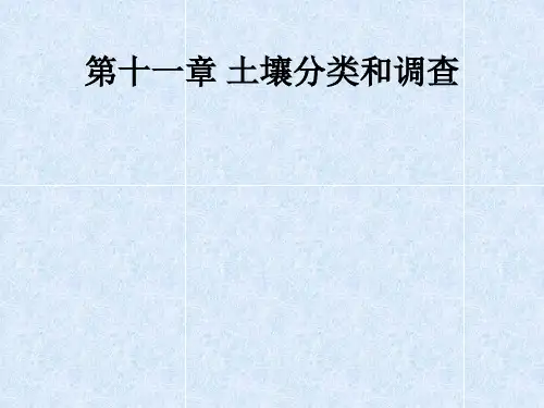 11第十一章土壤调查与分类