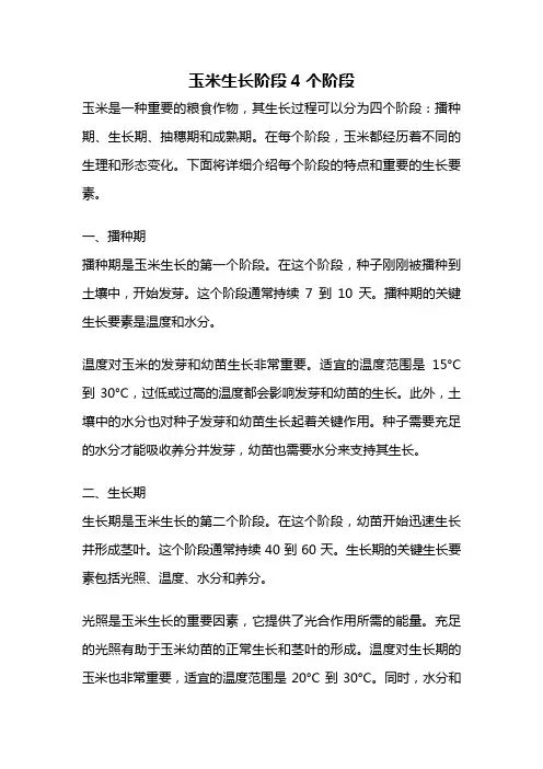玉米生长阶段4个阶段
