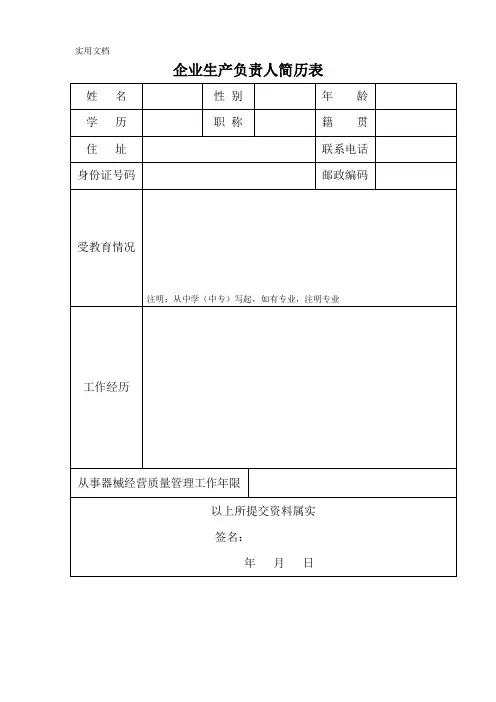 企业负责人简历表