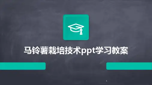 2024年度-马铃薯栽培技术ppt学习教案