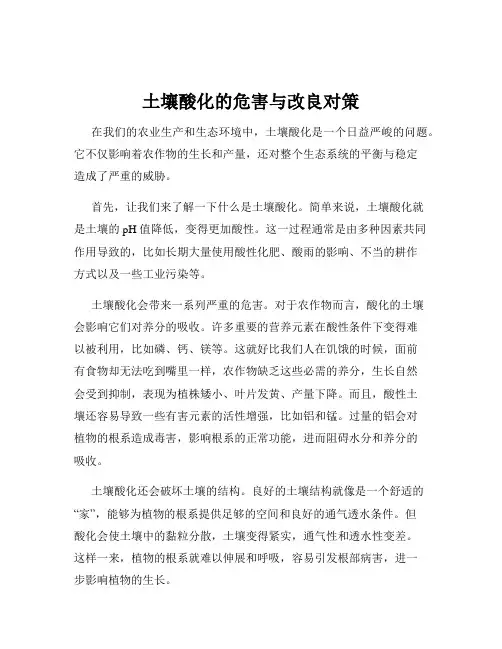 土壤酸化的危害与改良对策