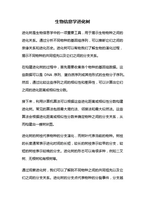 生物信息学进化树