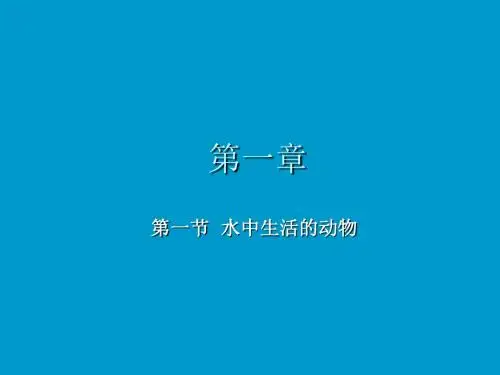 人教版 水中生活的动物 精品PPT课件14