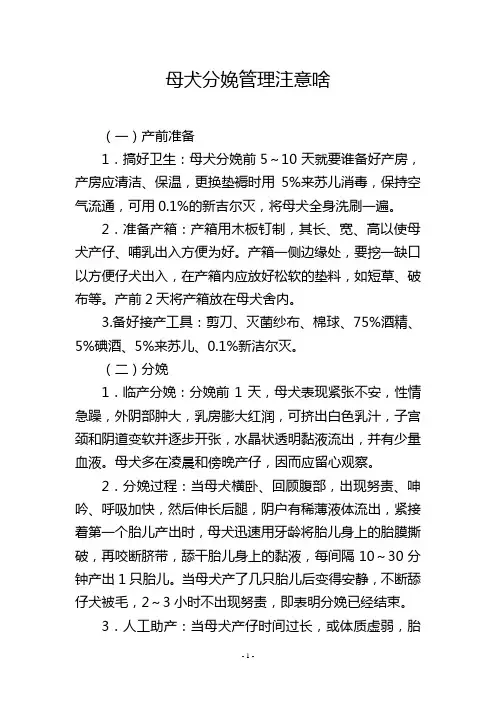 母犬分娩管理注意啥