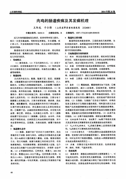 肉鸡的肠道疾病及其发病机理