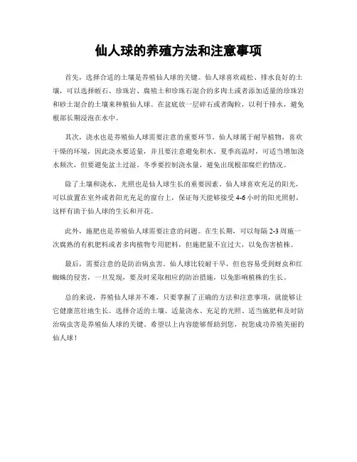 仙人球的养殖方法和注意事项