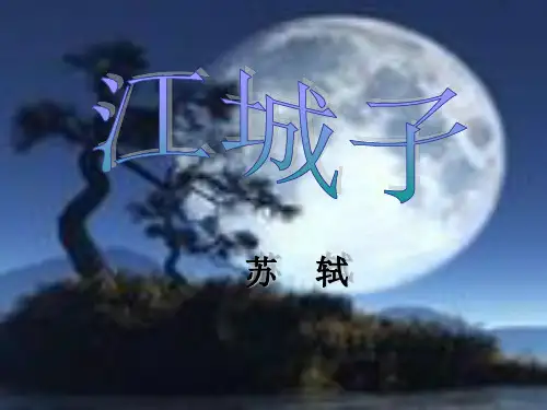 《江城子 十年生死两茫茫》课件