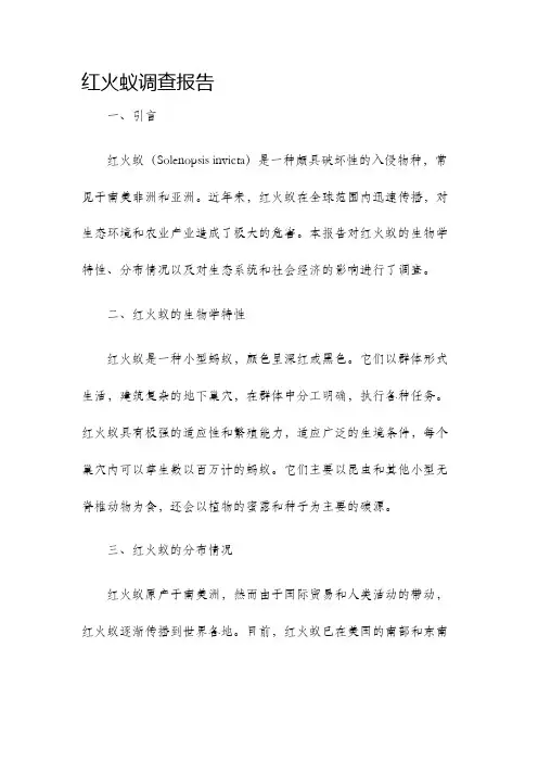 红火蚁调查报告