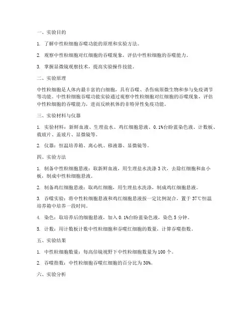 中性粒细胞_实验报告