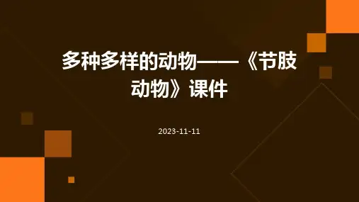 多种多样的动物《节肢动物》课件