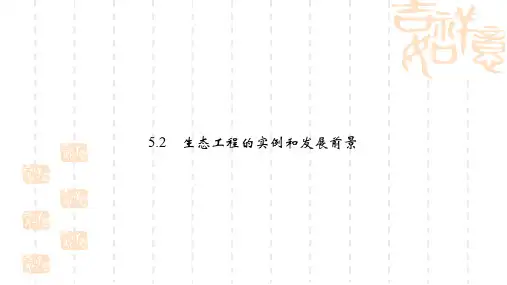 人教版高中生物选修三5.2《生态工程的实例和发展前景》ppt课件