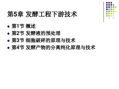 发酵工程下游技术