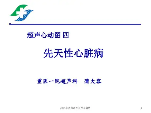 超声心动图四先天性心脏病课件