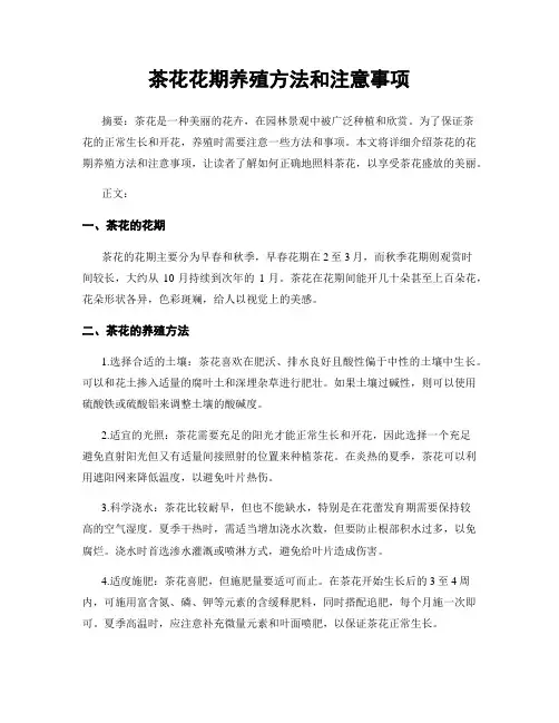 茶花花期养殖方法和注意事项